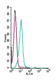 Anti AXL Extracellular Antibody ATR 032 Alomone Labs